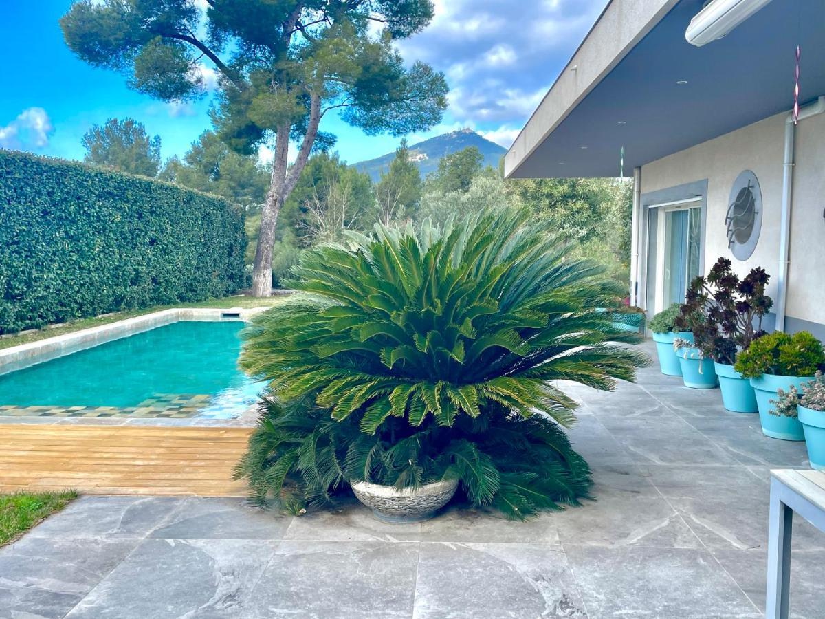 Chambre Luxe Dans Villa De Standing Avec Piscine, Acces Discret Et Independant, Terrasse Arboree Et Parking Prive La Valette-du-Var Ngoại thất bức ảnh